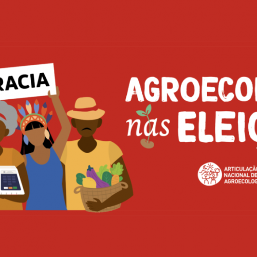 Eleições 2022: ANA faz mobilização por compromisso com a agroecologia