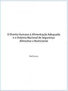 O Direito Humano à Alimentação Adequada e o Sistema Nacional de Segurança Alimentar e Nutricional
