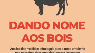 Dando nome aos bois: analises das medidas infralegais para o meio ambiente nos primeiros dois anos do Governo Bolsonaro