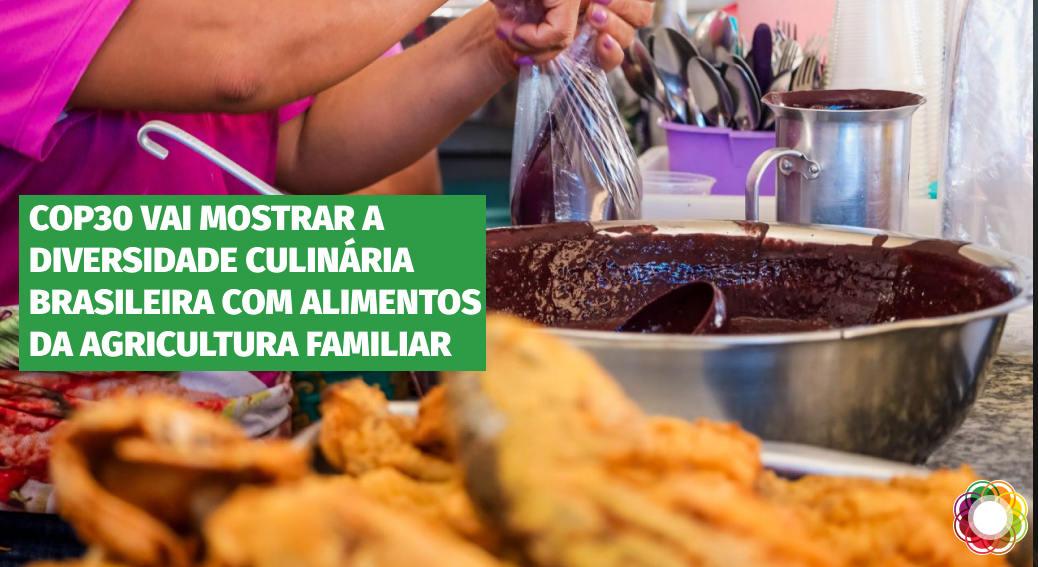 Cozinheira prepara açaí e peixe para refeição em Belém (PA): delícias que levam ao prato sabores, cultura e ancestralidade