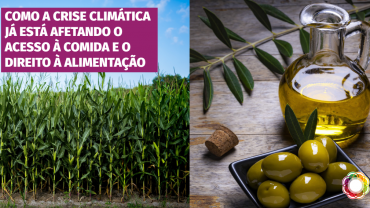Como a crise climática afeta o acesso à comida